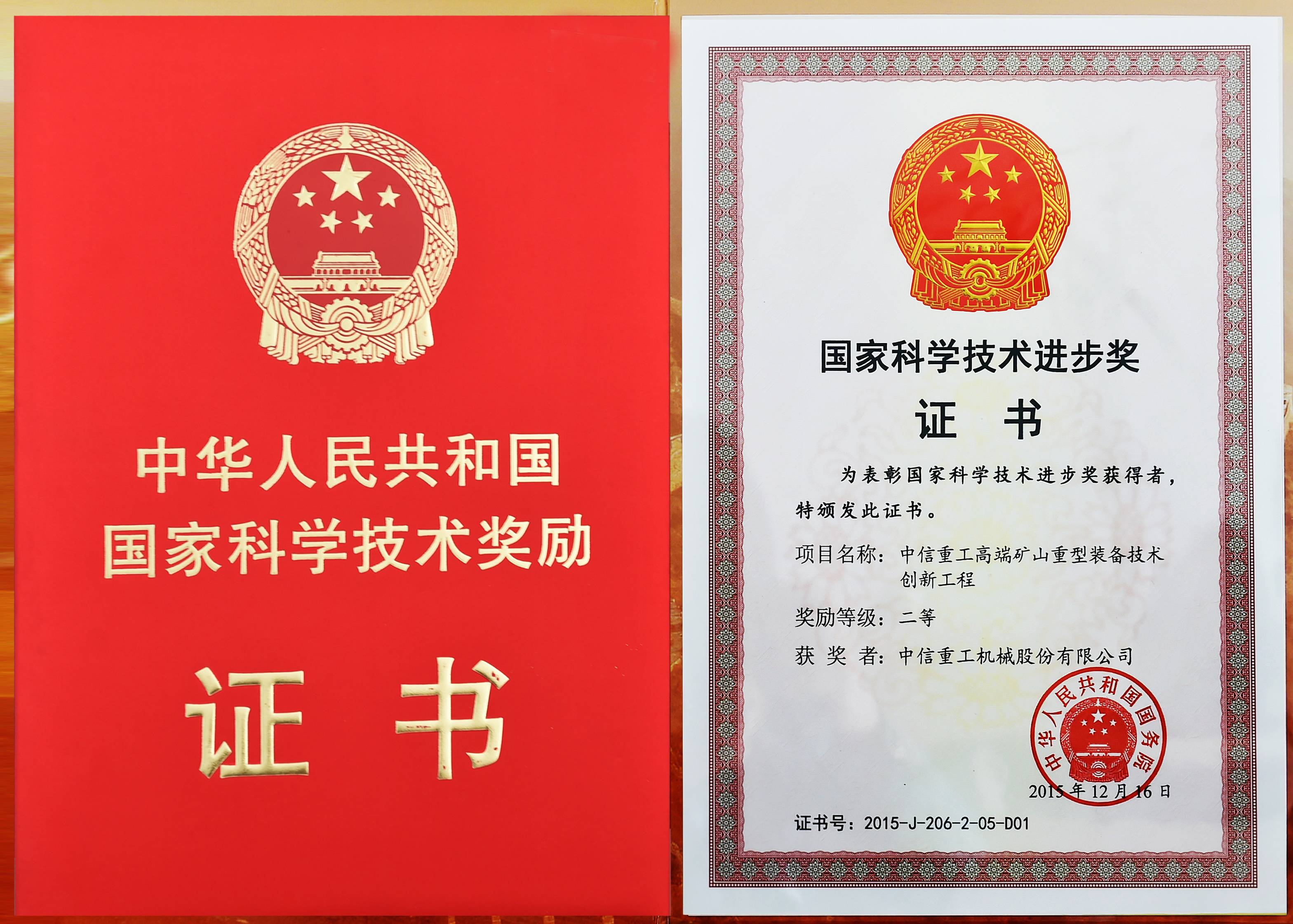 國家科學(xué)進(jìn)步獎(jiǎng)